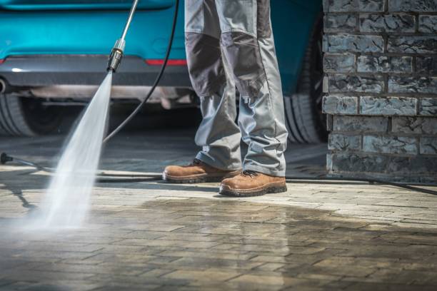 Pre-Holiday Cleaning in Lealman, FL
