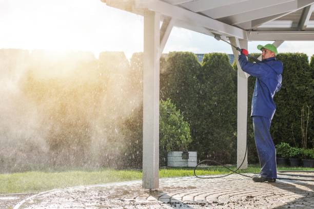Best Gutter Cleaning  in Lealman, FL