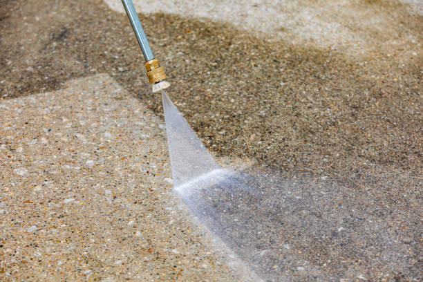 Best Spring Cleaning  in Lealman, FL